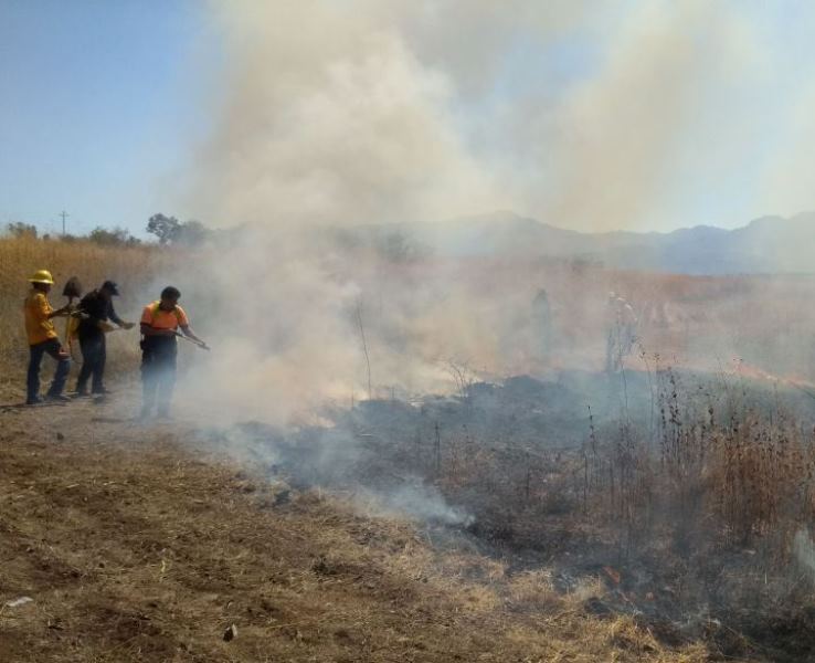 Capacitan a voluntarios en combate a incendios forestales