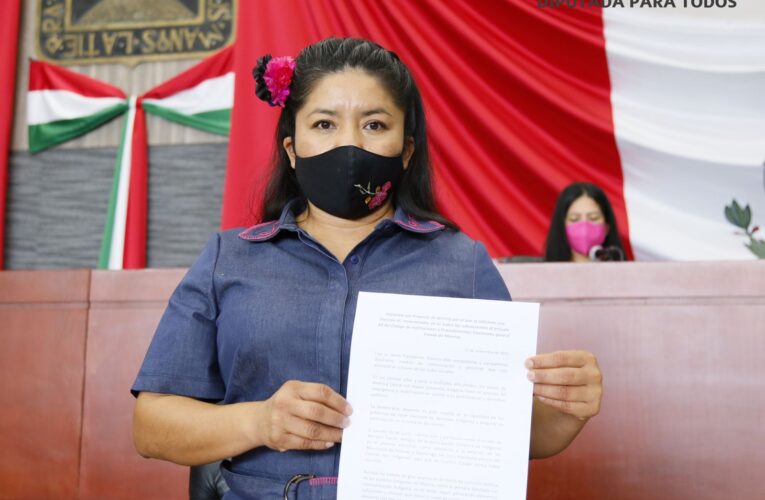 Incluir en el consejo estatal una comisión ejecutiva permanente de asuntos indígenas plantea Macrina Vallejo