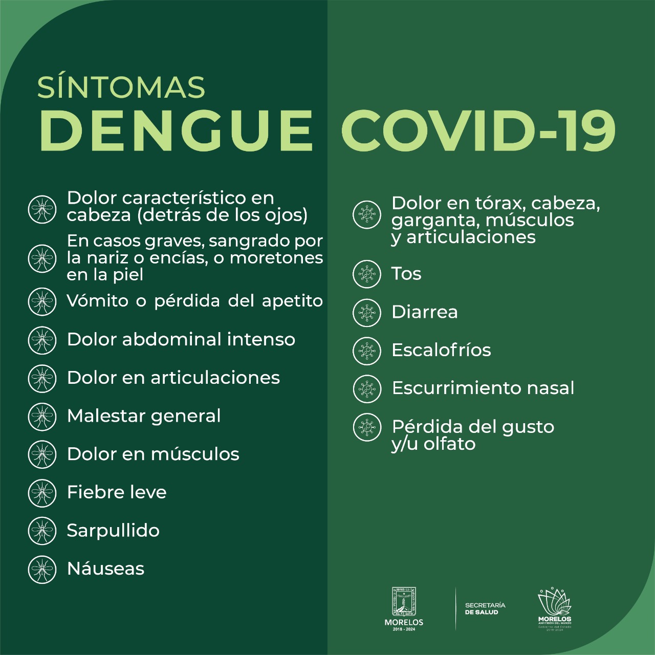 SSM pide identificar signos y síntomas de dengue. Sin Línea Multimedia