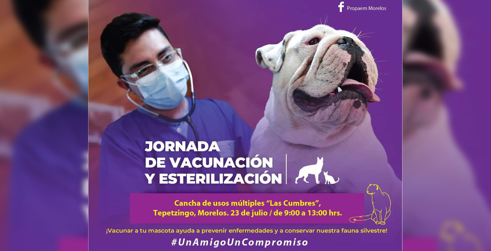 Anuncia Sds Jornada De Vacunación Y Esterilización Para Perros Y Gatos