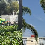 Ayuntamiento de Cuernavaca refuerza mantenimiento de áreas verdes durante la temporada de lluvias