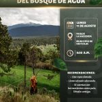 Convoca gobierno de Morelos a jornada de reforestación colectiva en el bosque de agua, en Huitzilac